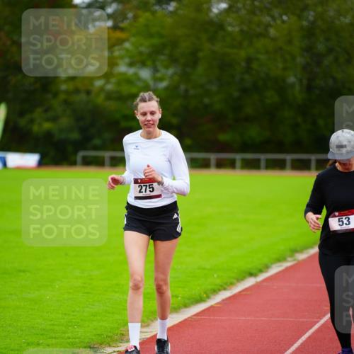 11.10.2026 - Bramfelder Halbmarathon 2026 LAZAROV Photography http://msf.ph/oto/10838449 11.10.2026 09:38:00 Laufen 275, 53 meine-sportfotos.de