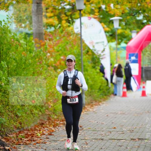 11.10.2026 - Bramfelder Halbmarathon 2026 LAZAROV Photography http://msf.ph/oto/10838517 11.10.2026 10:08:46 Laufen 493 meine-sportfotos.de