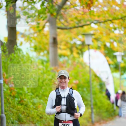 11.10.2026 - Bramfelder Halbmarathon 2026 LAZAROV Photography http://msf.ph/oto/10838529 11.10.2026 10:08:48 Laufen 493 meine-sportfotos.de