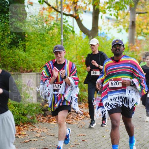 11.10.2026 - Bramfelder Halbmarathon 2026 LAZAROV Photography http://msf.ph/oto/10838543 11.10.2026 10:09:20 Laufen 217, 472, 541, 217, 520 meine-sportfotos.de