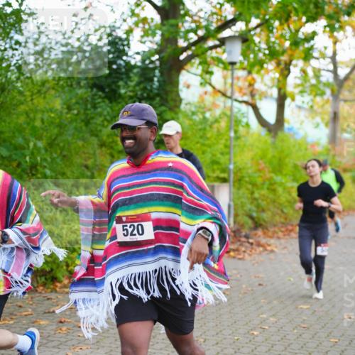 11.10.2026 - Bramfelder Halbmarathon 2026 LAZAROV Photography http://msf.ph/oto/10838555 11.10.2026 10:09:21 Laufen 217, 520 meine-sportfotos.de