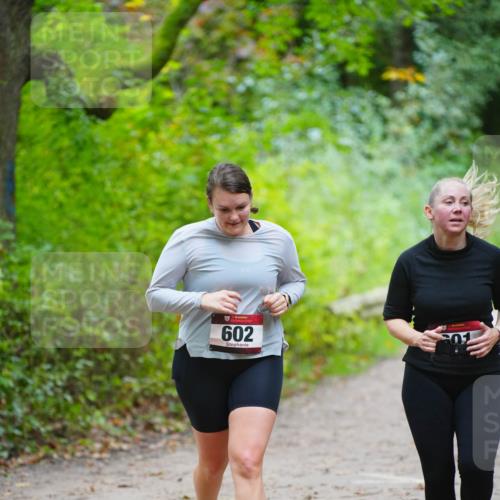 11.10.2026 - Bramfelder Halbmarathon 2026 LAZAROV Photography http://msf.ph/oto/10838787 11.10.2026 10:44:30 Laufen 602, 301 meine-sportfotos.de