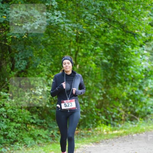 11.10.2026 - Bramfelder Halbmarathon 2026 LAZAROV Photography http://msf.ph/oto/10839029 11.10.2026 11:17:35 Laufen 523 meine-sportfotos.de