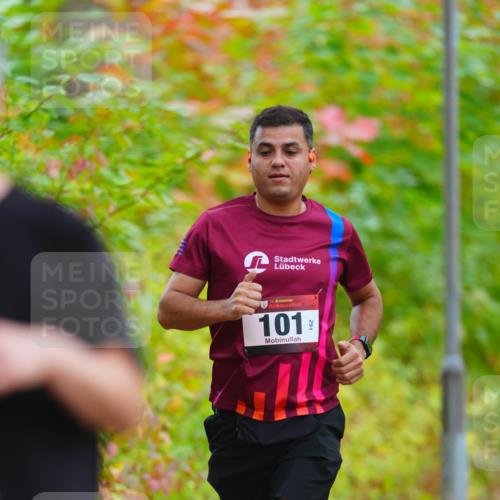 11.10.2026 - Bramfelder Halbmarathon 2026 LAZAROV Photography http://msf.ph/oto/10840767 11.10.2026 09:59:25 Laufen 291, 101 meine-sportfotos.de