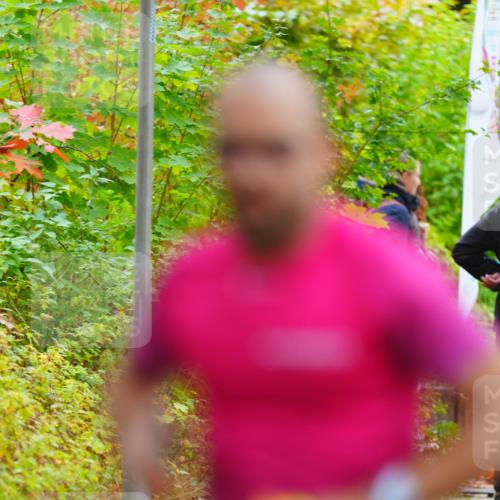 11.10.2026 - Bramfelder Halbmarathon 2026 LAZAROV Photography http://msf.ph/oto/10840966 11.10.2026 10:02:12 Laufen  meine-sportfotos.de