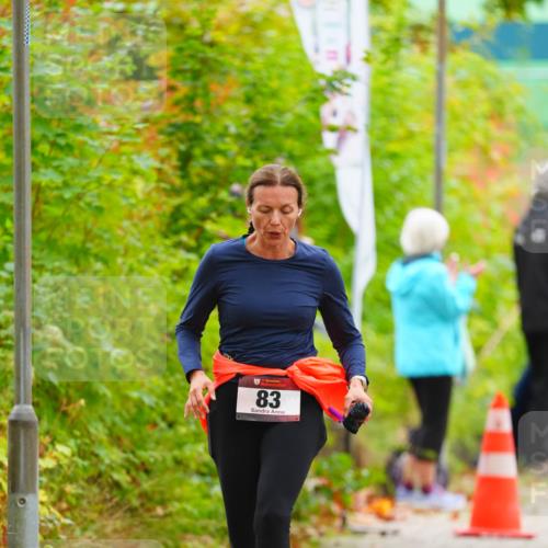 11.10.2026 - Bramfelder Halbmarathon 2026 LAZAROV Photography http://msf.ph/oto/10841036 11.10.2026 10:03:17 Laufen 83 meine-sportfotos.de