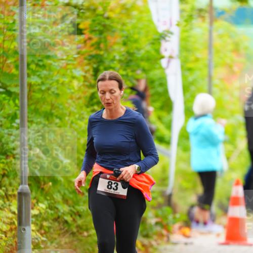11.10.2026 - Bramfelder Halbmarathon 2026 LAZAROV Photography http://msf.ph/oto/10841038 11.10.2026 10:03:18 Laufen 83 meine-sportfotos.de