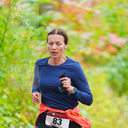 11.10.2026 - Bramfelder Halbmarathon 2026 LAZAROV Photography http://msf.ph/oto/10841044 11.10.2026 10:03:21 Laufen 35, 83 meine-sportfotos.de