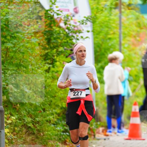 11.10.2026 - Bramfelder Halbmarathon 2026 LAZAROV Photography http://msf.ph/oto/10841136 11.10.2026 10:04:22 Laufen 227 meine-sportfotos.de