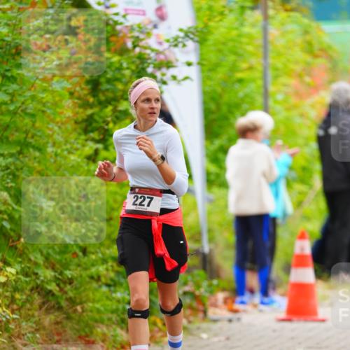 11.10.2026 - Bramfelder Halbmarathon 2026 LAZAROV Photography http://msf.ph/oto/10841137 11.10.2026 10:04:23 Laufen 227 meine-sportfotos.de