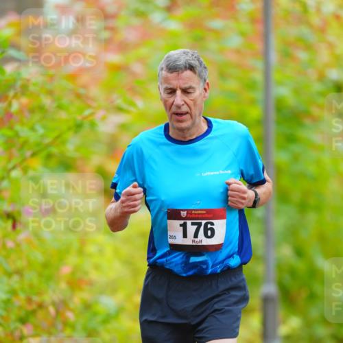11.10.2026 - Bramfelder Halbmarathon 2026 LAZAROV Photography http://msf.ph/oto/10841270 11.10.2026 10:05:39 Laufen 35, 176 meine-sportfotos.de