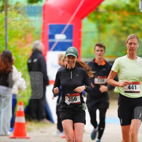 11.10.2026 - Bramfelder Halbmarathon 2026 LAZAROV Photography http://msf.ph/oto/10841311 11.10.2026 10:06:07 Laufen 356, 278, 724, 441 meine-sportfotos.de