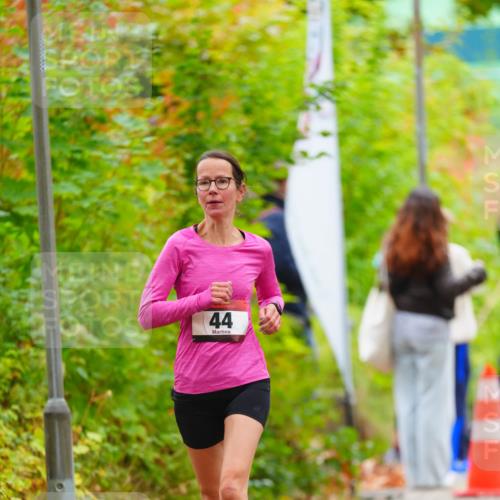 11.10.2026 - Bramfelder Halbmarathon 2026 LAZAROV Photography http://msf.ph/oto/10841362 11.10.2026 10:06:45 Laufen 44 meine-sportfotos.de