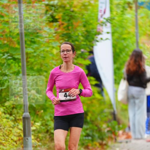 11.10.2026 - Bramfelder Halbmarathon 2026 LAZAROV Photography http://msf.ph/oto/10841363 11.10.2026 10:06:45 Laufen 44 meine-sportfotos.de