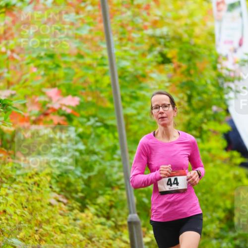 11.10.2026 - Bramfelder Halbmarathon 2026 LAZAROV Photography http://msf.ph/oto/10841365 11.10.2026 10:06:46 Laufen 44 meine-sportfotos.de