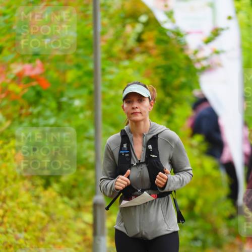 11.10.2026 - Bramfelder Halbmarathon 2026 LAZAROV Photography http://msf.ph/oto/10841458 11.10.2026 10:08:36 Laufen 358 meine-sportfotos.de