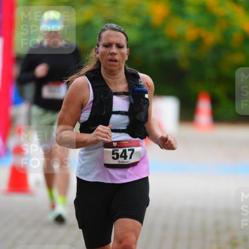 11.10.2026 - Bramfelder Halbmarathon 2026 LAZAROV Photography http://msf.ph/oto/10841785 11.10.2026 10:13:21 Laufen 35, 547 meine-sportfotos.de