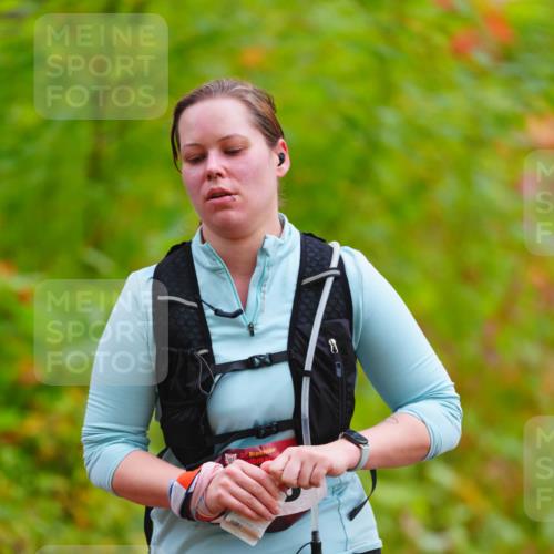 11.10.2026 - Bramfelder Halbmarathon 2026 LAZAROV Photography http://msf.ph/oto/10841809 11.10.2026 10:14:16 Laufen  meine-sportfotos.de