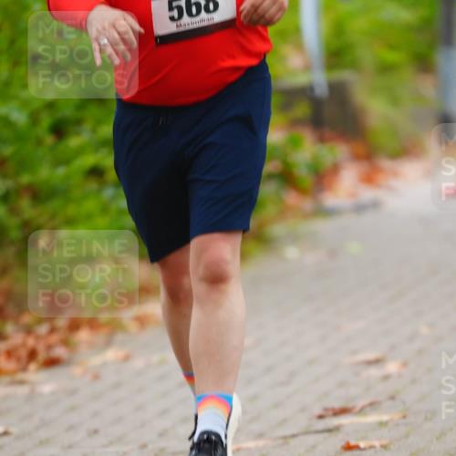 11.10.2026 - Bramfelder Halbmarathon 2026 LAZAROV Photography http://msf.ph/oto/10842019 11.10.2026 10:17:56 Laufen  meine-sportfotos.de