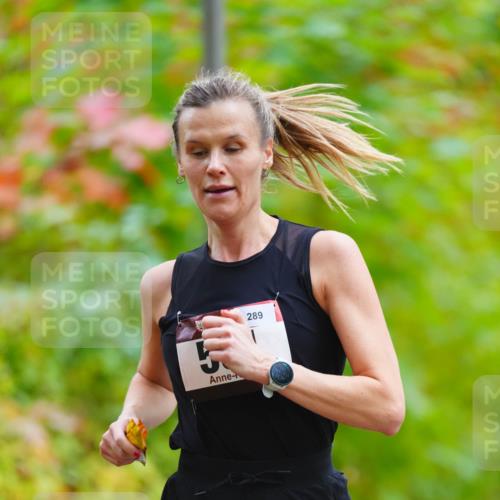 11.10.2026 - Bramfelder Halbmarathon 2026 LAZAROV Photography http://msf.ph/oto/10842159 11.10.2026 10:19:31 Laufen 289 meine-sportfotos.de