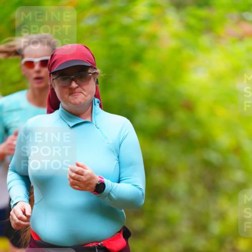 11.10.2026 - Bramfelder Halbmarathon 2026 LAZAROV Photography http://msf.ph/oto/10842354 11.10.2026 10:27:39 Laufen  meine-sportfotos.de