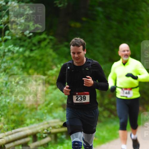 11.10.2026 - Bramfelder Halbmarathon 2026 LAZAROV Photography http://msf.ph/oto/10842473 11.10.2026 10:30:39 Laufen 239 meine-sportfotos.de