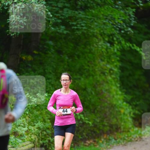 11.10.2026 - Bramfelder Halbmarathon 2026 LAZAROV Photography http://msf.ph/oto/10842674 11.10.2026 10:33:09 Laufen 44 meine-sportfotos.de