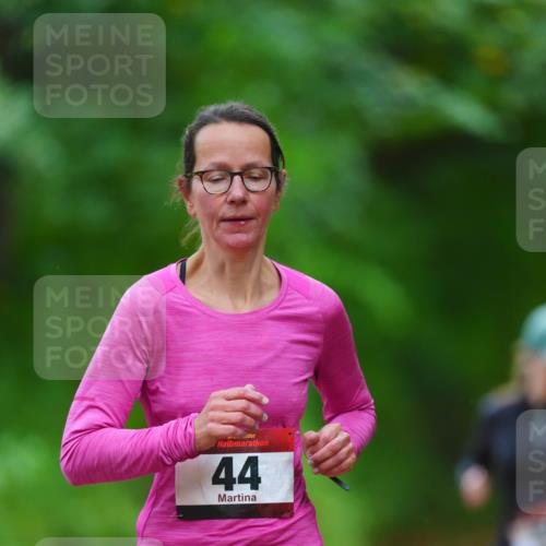 11.10.2026 - Bramfelder Halbmarathon 2026 LAZAROV Photography http://msf.ph/oto/10842685 11.10.2026 10:33:18 Laufen 44 meine-sportfotos.de