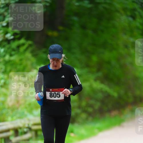 11.10.2026 - Bramfelder Halbmarathon 2026 LAZAROV Photography http://msf.ph/oto/10842879 11.10.2026 10:35:55 Laufen 805 meine-sportfotos.de