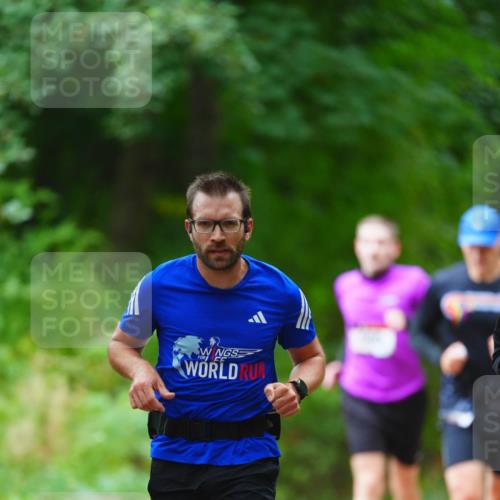 11.10.2026 - Bramfelder Halbmarathon 2026 LAZAROV Photography http://msf.ph/oto/10842907 11.10.2026 10:36:46 Laufen  meine-sportfotos.de