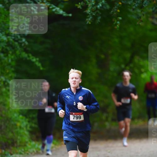11.10.2026 - Bramfelder Halbmarathon 2026 LAZAROV Photography http://msf.ph/oto/10842944 11.10.2026 10:37:27 Laufen 5, 799 meine-sportfotos.de