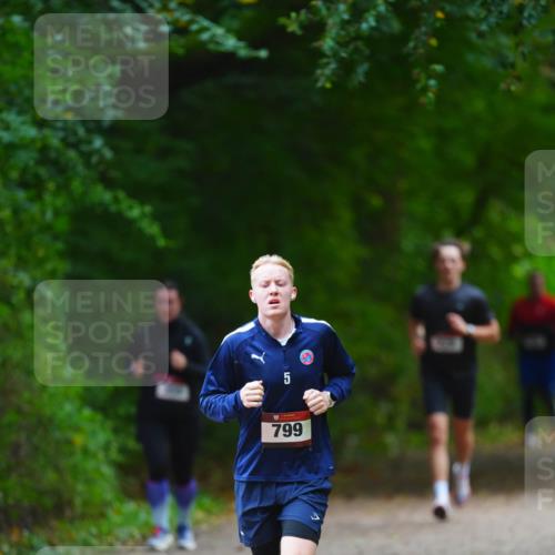 11.10.2026 - Bramfelder Halbmarathon 2026 LAZAROV Photography http://msf.ph/oto/10842945 11.10.2026 10:37:28 Laufen 5, 799 meine-sportfotos.de