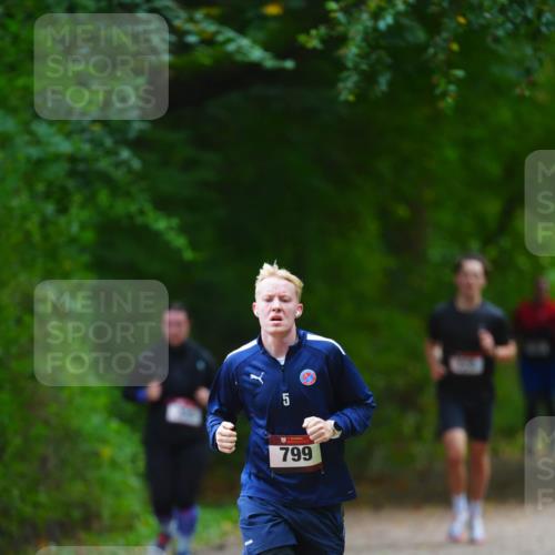 11.10.2026 - Bramfelder Halbmarathon 2026 LAZAROV Photography http://msf.ph/oto/10842948 11.10.2026 10:37:28 Laufen 5, 799 meine-sportfotos.de