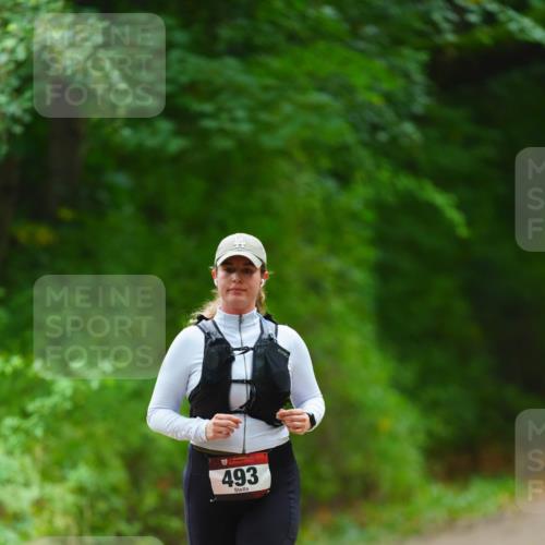 11.10.2026 - Bramfelder Halbmarathon 2026 LAZAROV Photography http://msf.ph/oto/10842986 11.10.2026 10:37:53 Laufen 493 meine-sportfotos.de