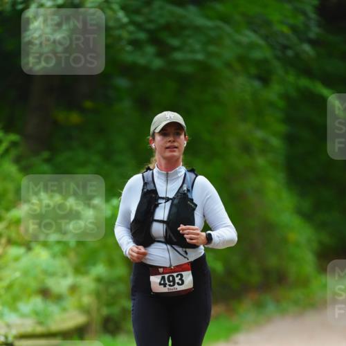11.10.2026 - Bramfelder Halbmarathon 2026 LAZAROV Photography http://msf.ph/oto/10842989 11.10.2026 10:37:54 Laufen 493 meine-sportfotos.de