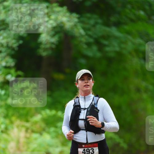 11.10.2026 - Bramfelder Halbmarathon 2026 LAZAROV Photography http://msf.ph/oto/10842992 11.10.2026 10:37:55 Laufen 493 meine-sportfotos.de