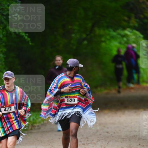 11.10.2026 - Bramfelder Halbmarathon 2026 LAZAROV Photography http://msf.ph/oto/10843023 11.10.2026 10:38:22 Laufen 217, 472, 520 meine-sportfotos.de
