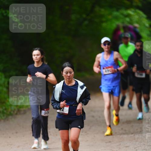 11.10.2026 - Bramfelder Halbmarathon 2026 LAZAROV Photography http://msf.ph/oto/10843042 11.10.2026 10:38:47 Laufen 50 meine-sportfotos.de