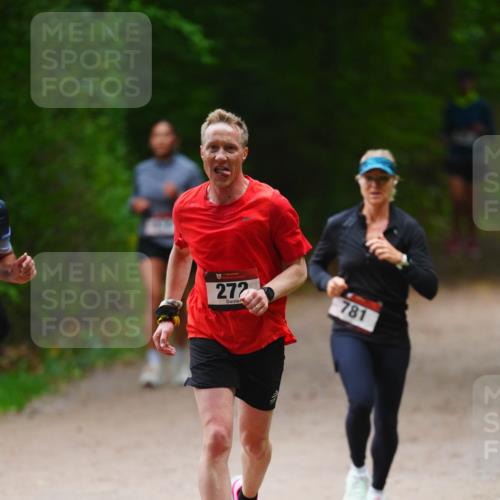 11.10.2026 - Bramfelder Halbmarathon 2026 LAZAROV Photography http://msf.ph/oto/10843494 11.10.2026 10:43:53 Laufen 272, 781 meine-sportfotos.de