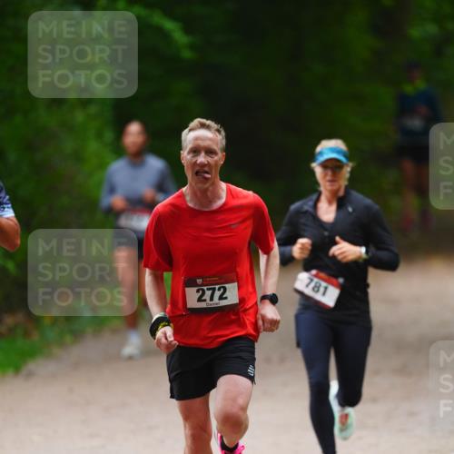 11.10.2026 - Bramfelder Halbmarathon 2026 LAZAROV Photography http://msf.ph/oto/10843495 11.10.2026 10:43:54 Laufen 272, 781 meine-sportfotos.de