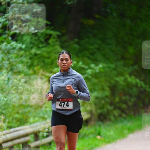 11.10.2026 - Bramfelder Halbmarathon 2026 LAZAROV Photography http://msf.ph/oto/10843516 11.10.2026 10:44:03 Laufen 474 meine-sportfotos.de