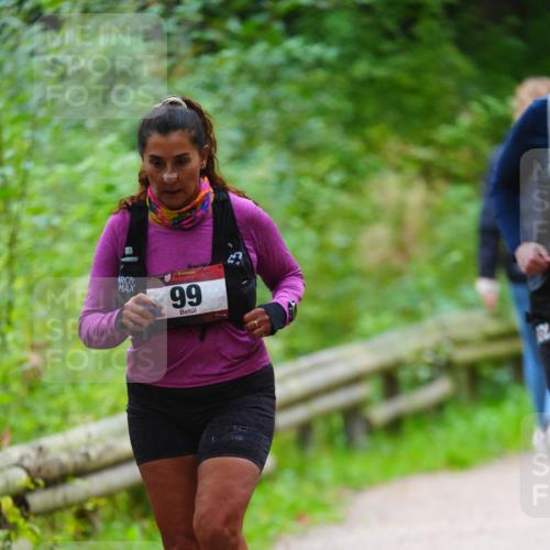 11.10.2026 - Bramfelder Halbmarathon 2026 LAZAROV Photography http://msf.ph/oto/10843553 11.10.2026 10:45:54 Laufen 99 meine-sportfotos.de