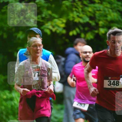 11.10.2026 - Bramfelder Halbmarathon 2026 LAZAROV Photography http://msf.ph/oto/10843819 11.10.2026 10:51:30 Laufen 77, 263, 348 meine-sportfotos.de