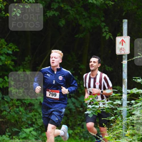 11.10.2026 - Bramfelder Halbmarathon 2026 LAZAROV Photography http://msf.ph/oto/10844246 11.10.2026 10:58:26 Laufen 5, 799, 40 meine-sportfotos.de