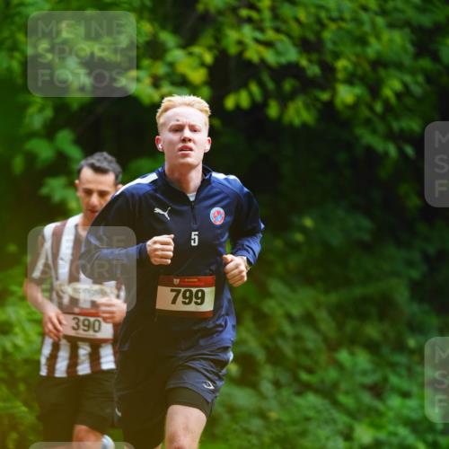 11.10.2026 - Bramfelder Halbmarathon 2026 LAZAROV Photography http://msf.ph/oto/10844255 11.10.2026 10:58:28 Laufen 5, 390, 799 meine-sportfotos.de