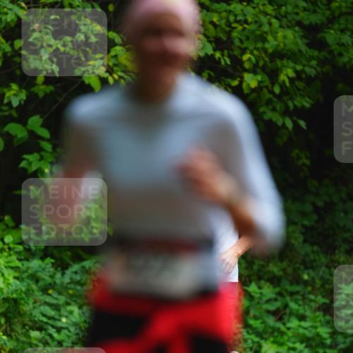 11.10.2026 - Bramfelder Halbmarathon 2026 LAZAROV Photography http://msf.ph/oto/10844338 11.10.2026 10:59:21 Laufen  meine-sportfotos.de