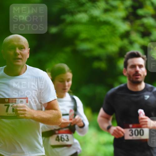 11.10.2026 - Bramfelder Halbmarathon 2026 LAZAROV Photography http://msf.ph/oto/10844347 11.10.2026 10:59:26 Laufen 26, 71, 463, 300 meine-sportfotos.de