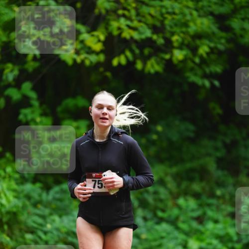 11.10.2026 - Bramfelder Halbmarathon 2026 LAZAROV Photography http://msf.ph/oto/10844362 11.10.2026 10:59:40 Laufen 753 meine-sportfotos.de