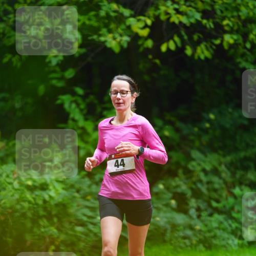 11.10.2026 - Bramfelder Halbmarathon 2026 LAZAROV Photography http://msf.ph/oto/10844475 11.10.2026 11:00:52 Laufen 44 meine-sportfotos.de