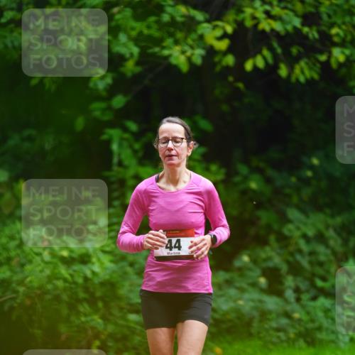 11.10.2026 - Bramfelder Halbmarathon 2026 LAZAROV Photography http://msf.ph/oto/10844476 11.10.2026 11:00:52 Laufen 44 meine-sportfotos.de